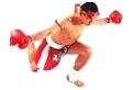 Thai Box Shop.ch - Versand Handel f&uuml;r Thaibox Kampfsportartikel